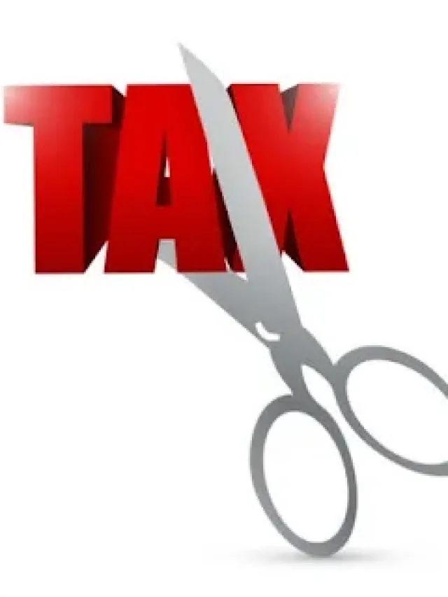 what is income tax exemption in india how does it works !